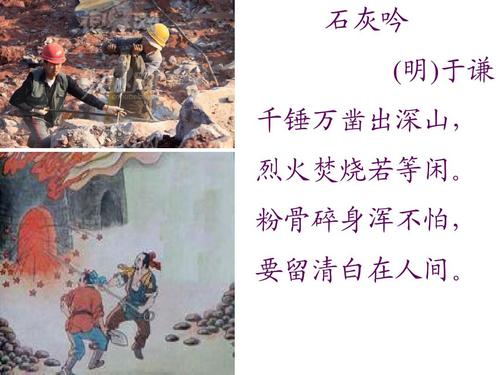 11版政治 - 黑龙江鸡西市整治乡村产业项目领域问题